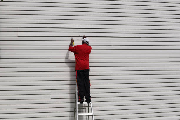 Best Aluminum Siding Installation  in , IN